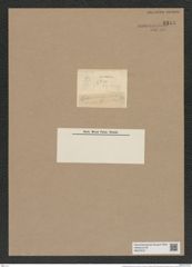 Cyclostella hilseana Grun. (de-Toni-Nr.: Genus 216, Species 5435) Zeichnungen Sammlung Grunow Nr. 9343 (NHMW-BOT-W0379161)